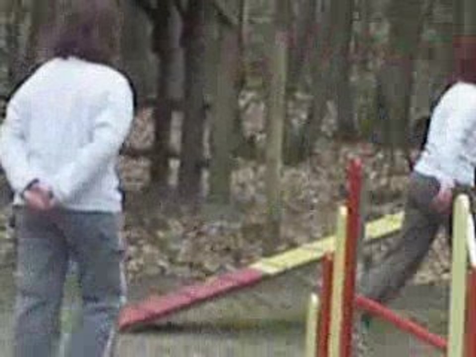 ACUSGF Campbell borded entrainement agility