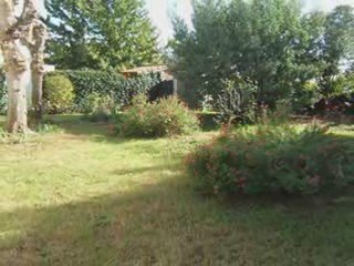 33710 maison T3 bourg sur gironde