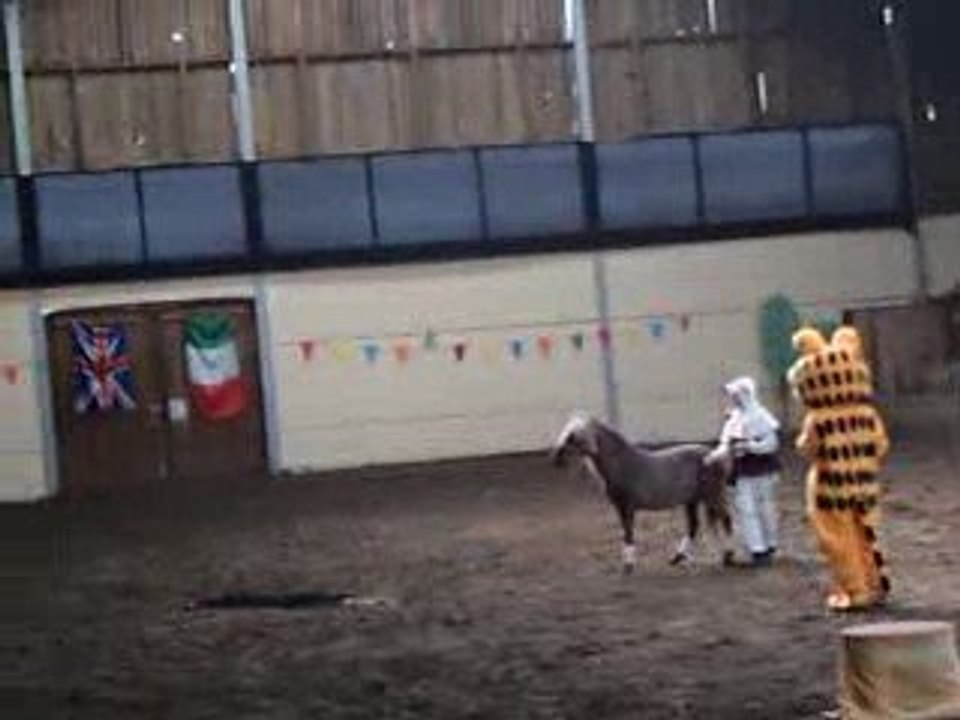 Numéro Le chat (trophés spectacle equestre 2009)