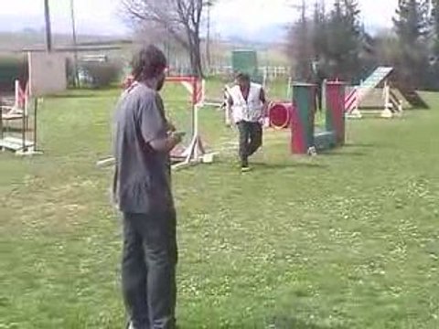 Bango Degré Agility Villefranche 05/04/2009