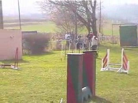 Bango GPF Agility Villefranche 05/04/2009