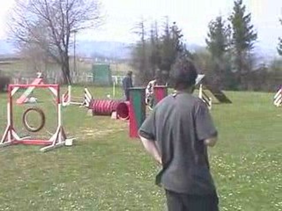 Philae Degré Agility Villefranche 05/04/2009