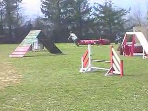 Philae GPF Agility Villefranche 05/04/2009