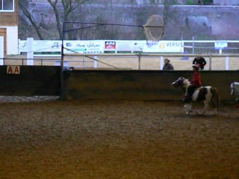 Les "Poons" de Koeking - 3