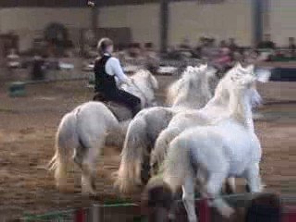 Les pitchounes de Loucha(trophé spectacle equestre 2009)