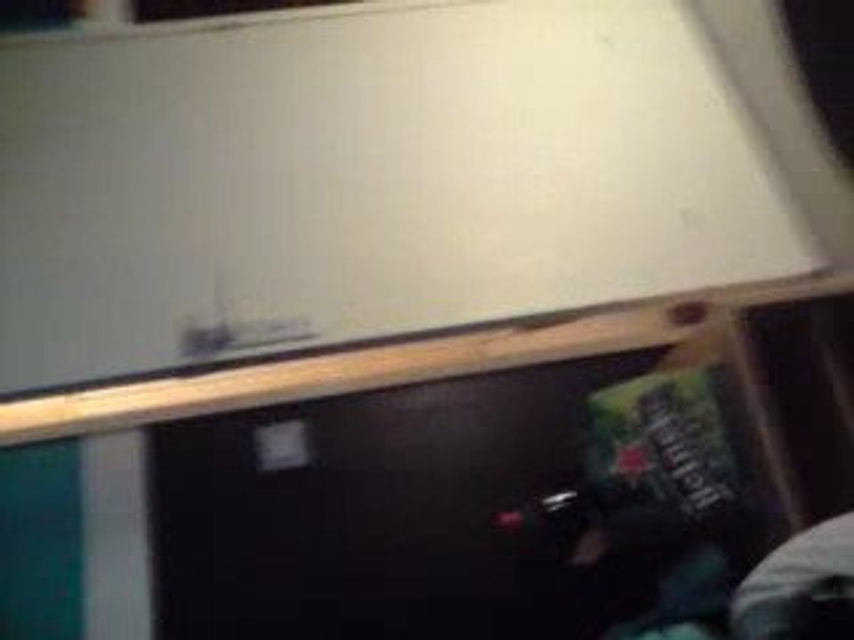 Chat qui ouvre la porte