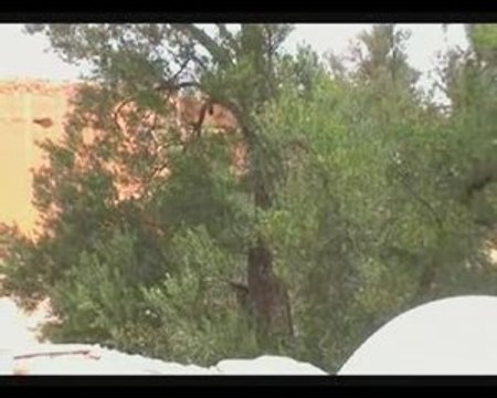 Ifrane anti atlas assaka