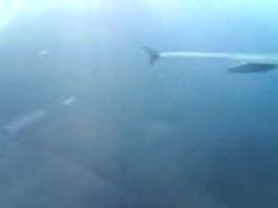 En vol Air France la Navette A 320 TLS-PO 3