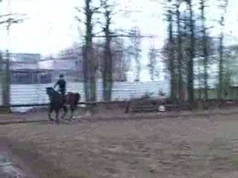 29 mars Galop en cercle