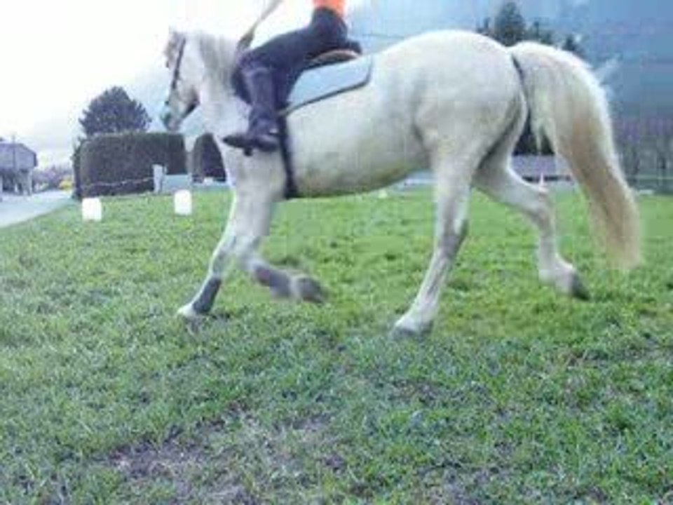 Saut 040409