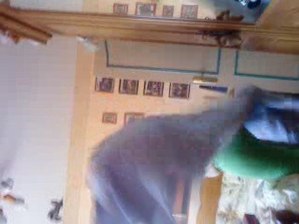 Nous chez Alexis (mais sans Saumon xd)