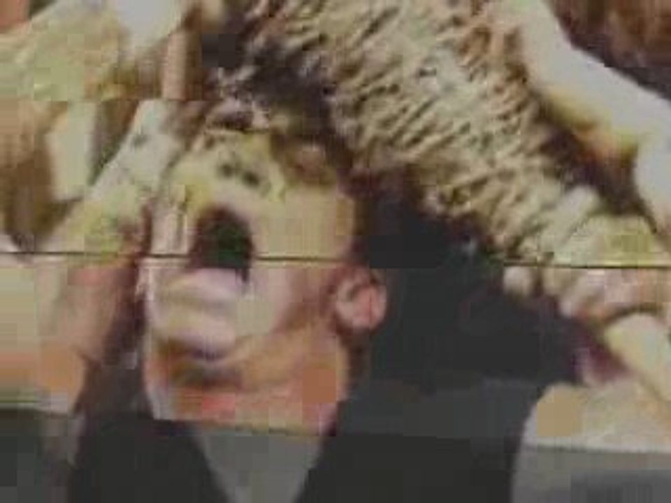 Randy Orton Rev Theory-Voices Theme