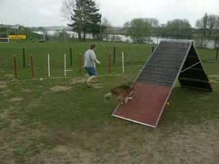 Bugsy entrainement slalom zone = vitesse