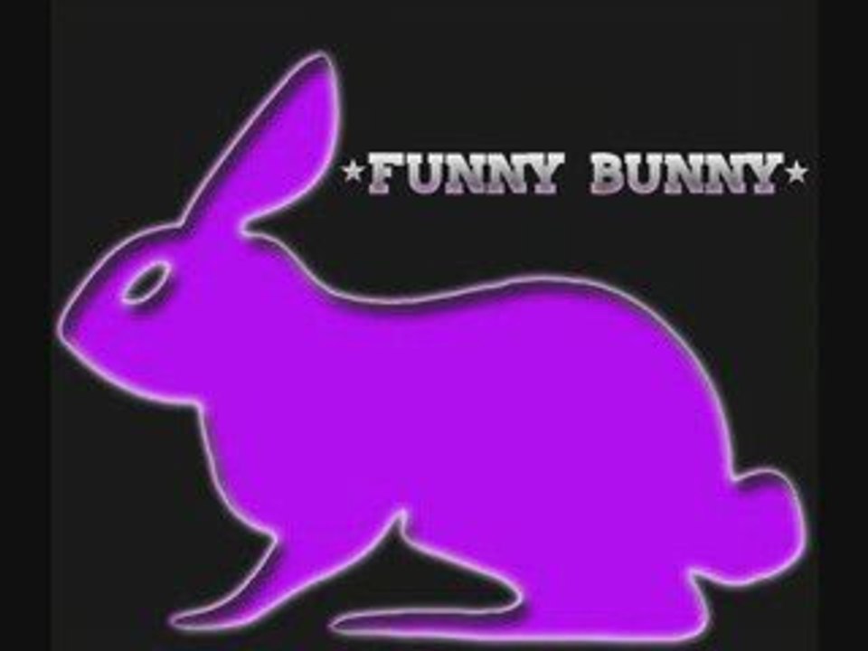 FUNNY VIDEO