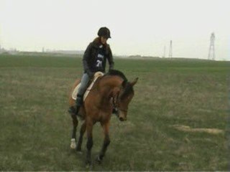 kelly travaille  en jachère