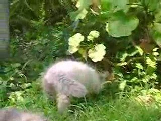 Grimper Freddie Mercury - 1º parte- 7 abril 2009