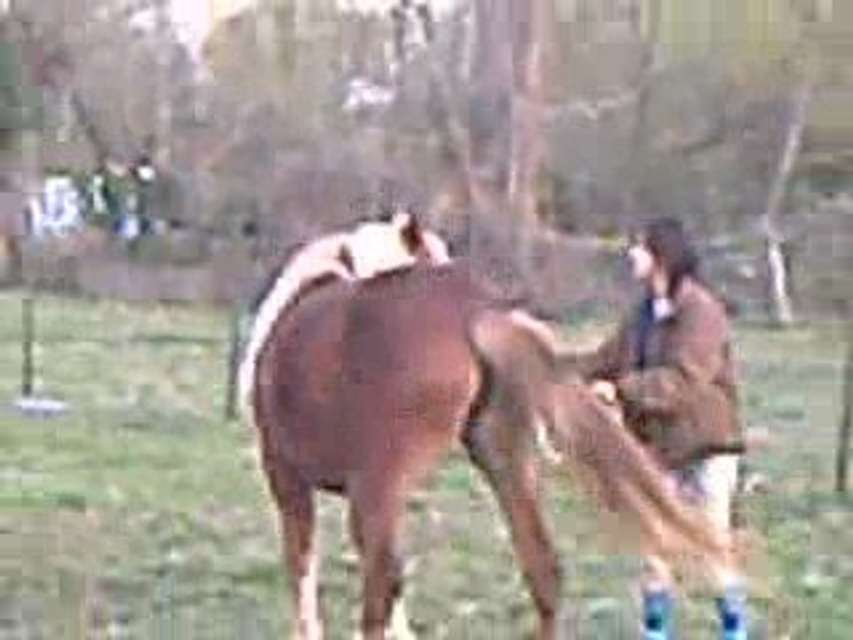 CLIP0005