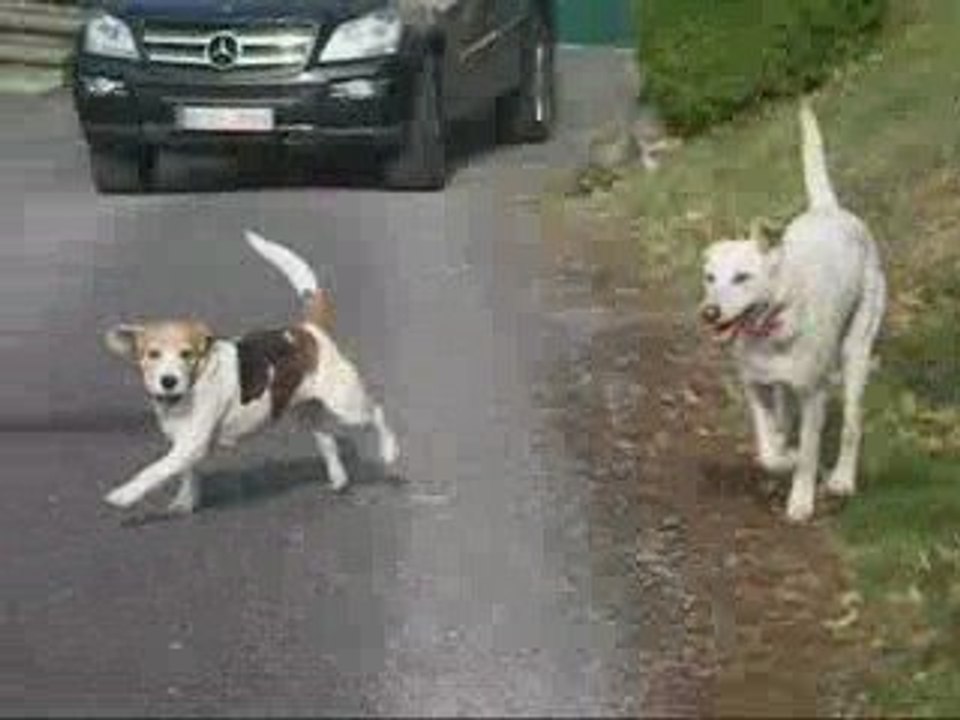 Montage de toutes les vidéos