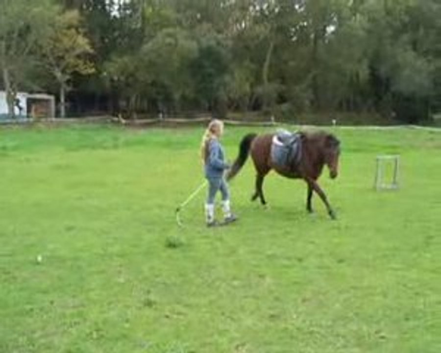 Dimanche 2 novembre 2008