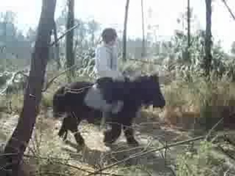 Laura & Tornade saut (L) février 2009