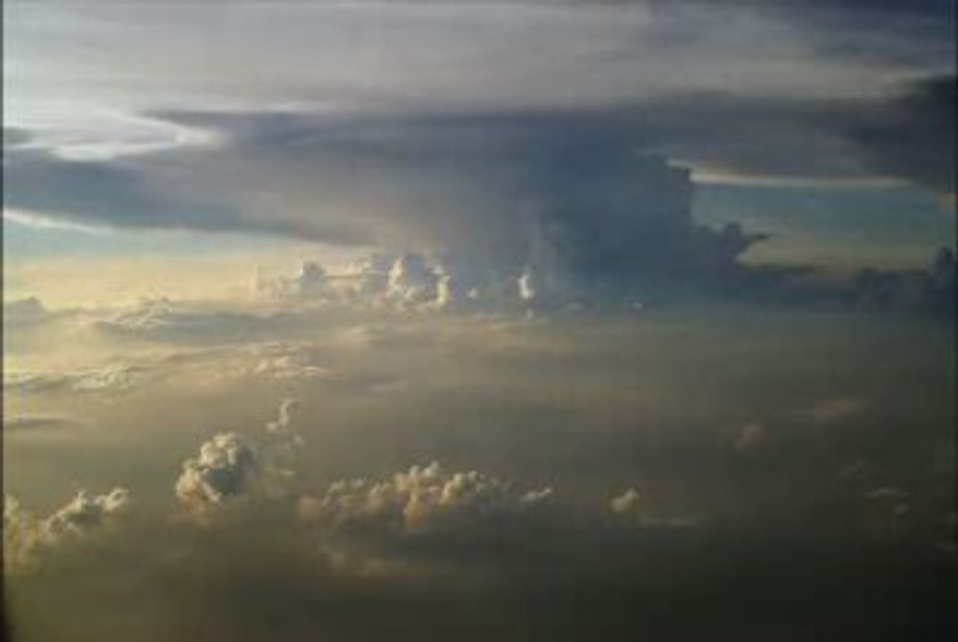 Ashley Wallbridge ft. Meighan Nealon - My Blood