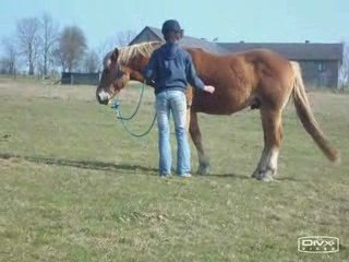Quelques moments de différentes scéances... =)
