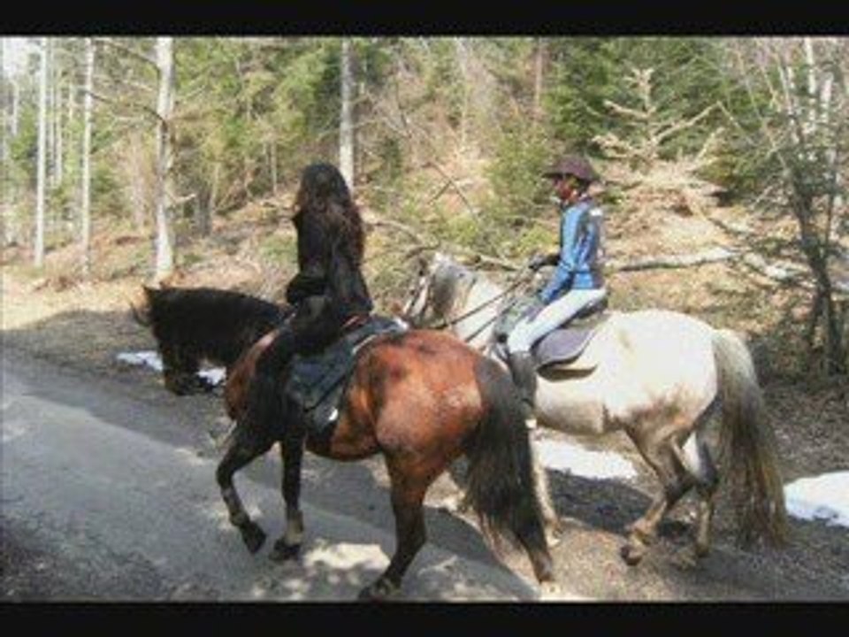 Rando en chartreuse_0001