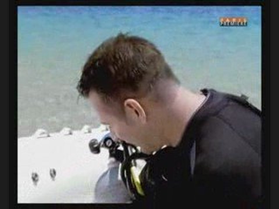 Les monstre des mer part 1