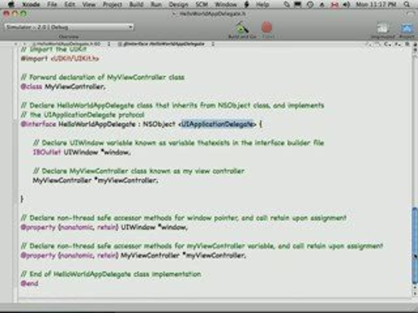 ⁣Understanding Source Code 1/2 - Iphone Tutorial 3