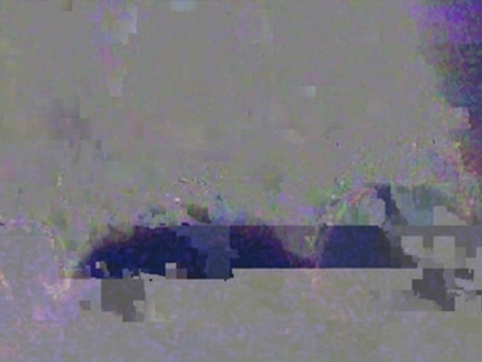 Concert Caravan Palace