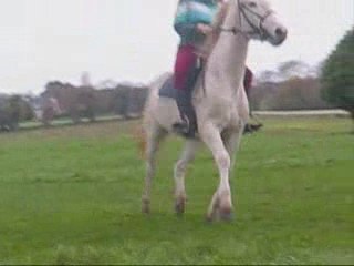 obstacle avec colombe en decembre 2008