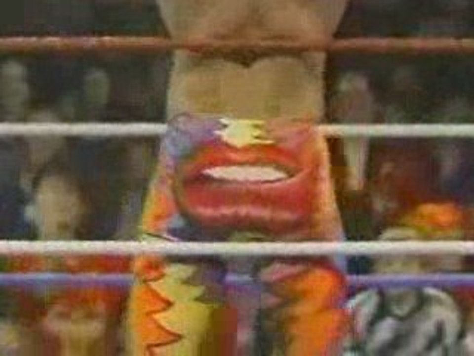 Superstars.of.Wrestling.01 13.90 2