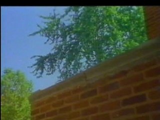 Katı, Sıvı, Gaz Nedir?