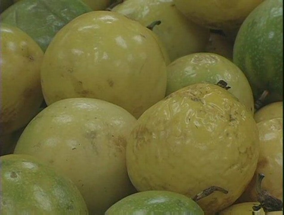 ALIMENTOS QUE AUXILIAM NO SONO