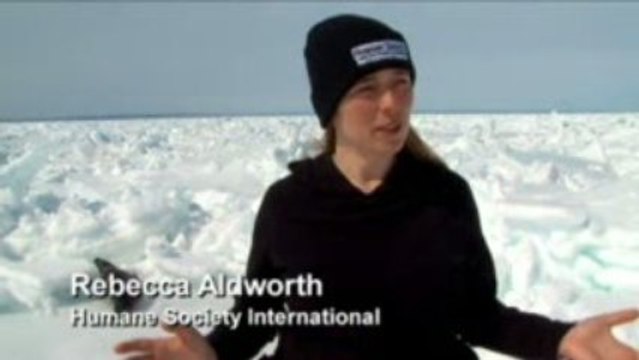 The Humane Society (Of The Unites States)