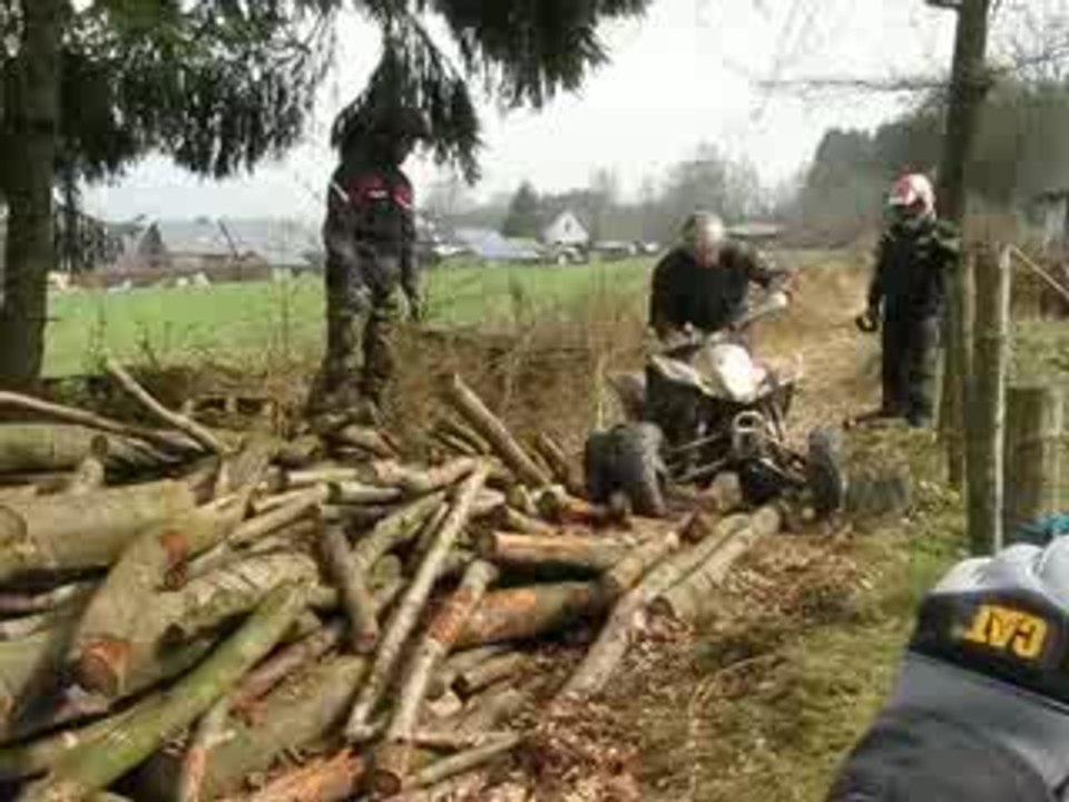 LTZ 400 au tas de bois