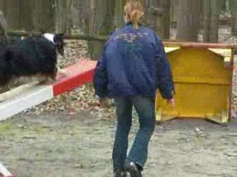 ACUSGF Tango australien entrainement agility