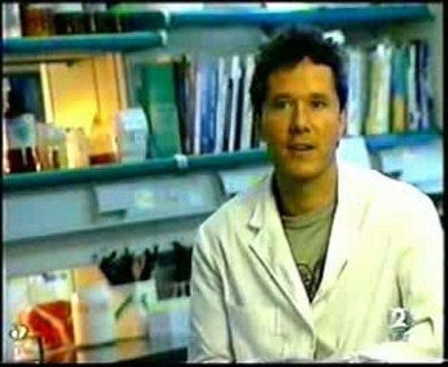 Tumores cerebrales y cannabinoides