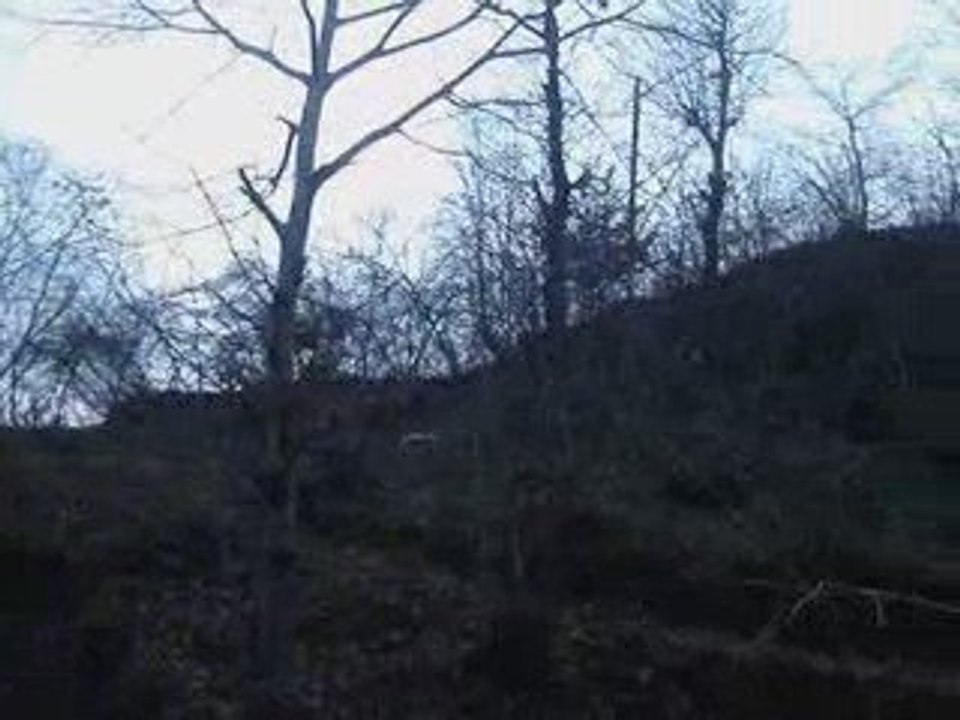 Karaca_asa_mahalle_ 2