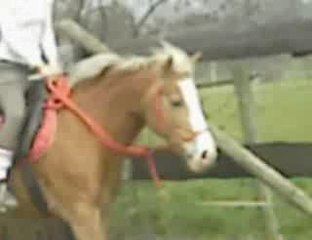 journée memorable en comagnie de marine et jordane suite