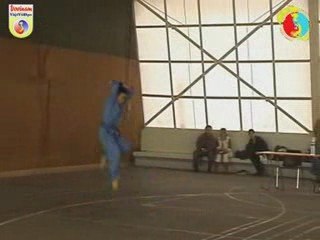 Coupe IDF Vovinam Long Ho Quyen par Viet de Pontault