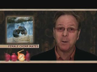 Odd News - myinboxnews.com