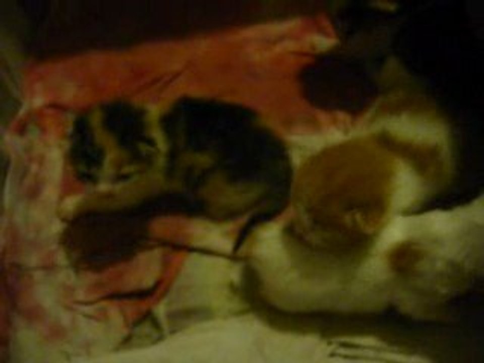 Maman arrive !