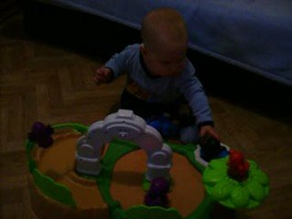 Mattheo et son zoo assis