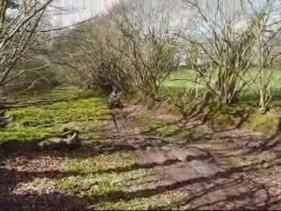 Quad Rando 5 avril 2009