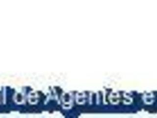 ANACS ASSOCIAÇÃO NACIONAL DE AGENTES E CORRETORES DE SEGUROS