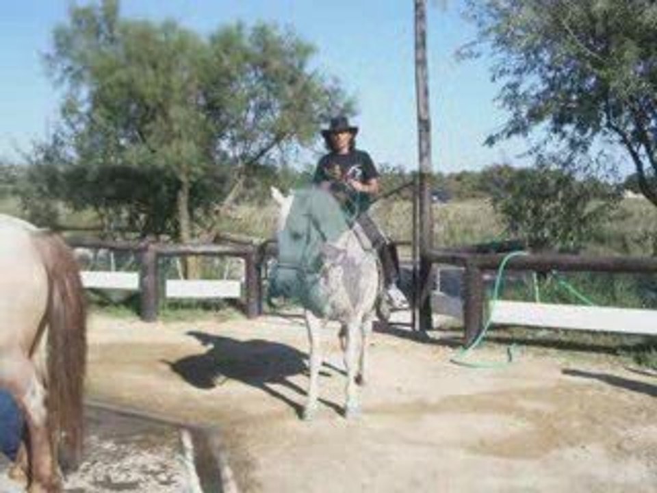 Ptipatte mon frere