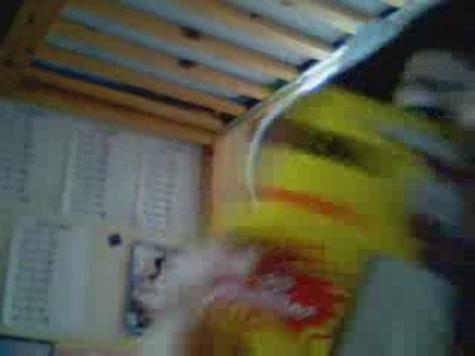 CACA , PROUT