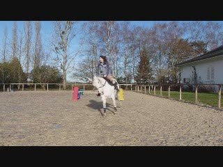 saut en licol