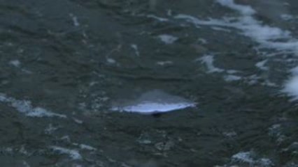 The Prostitutes-leave it like it is